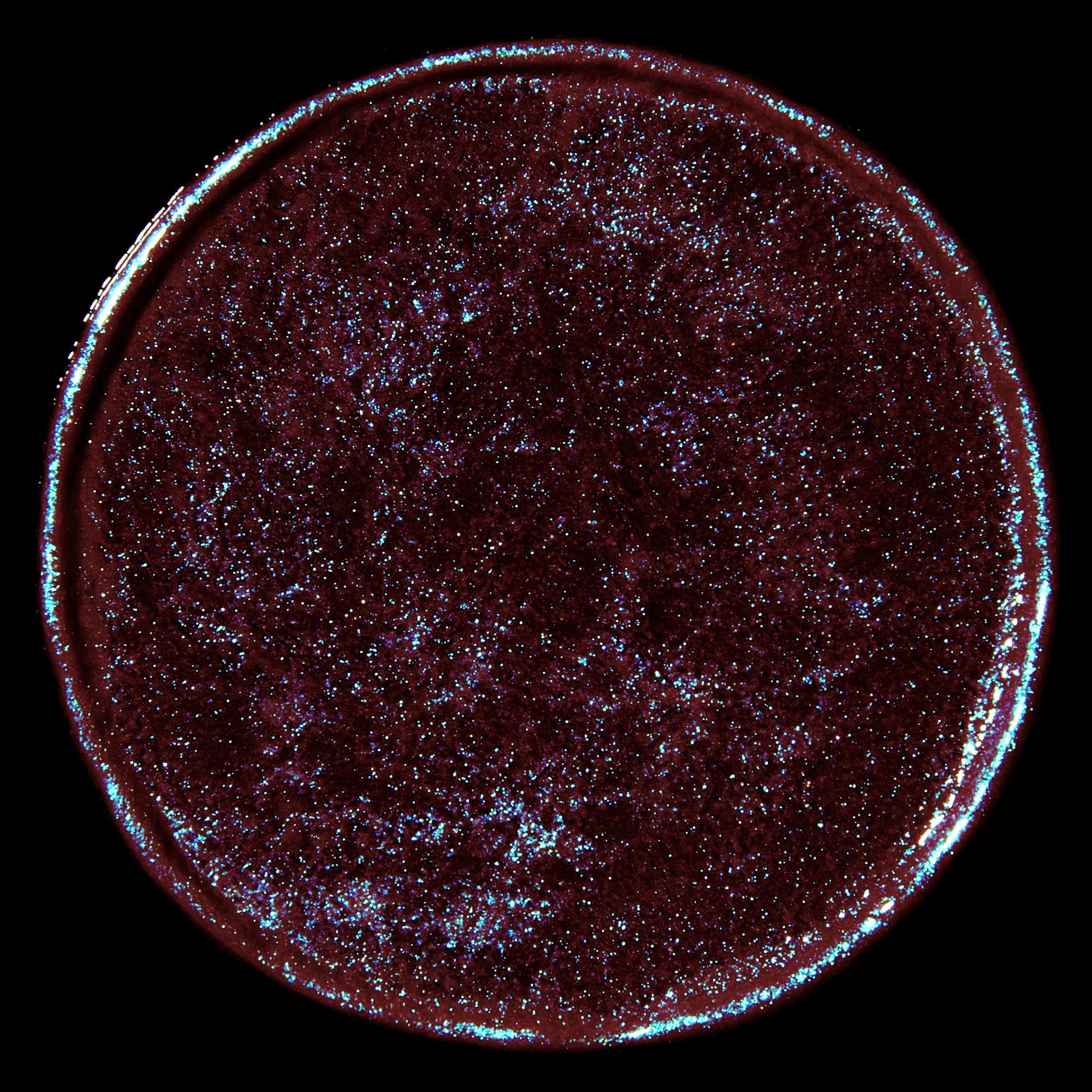 Cygnus | Celestial Sphere Gelée Eye Gloss - Rituel de Fille