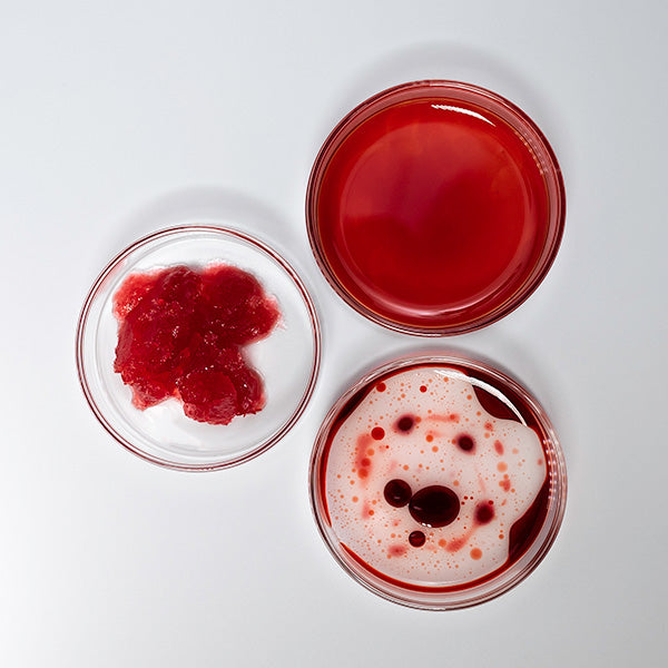 Thorn Potions | Set - Rituel de Fille